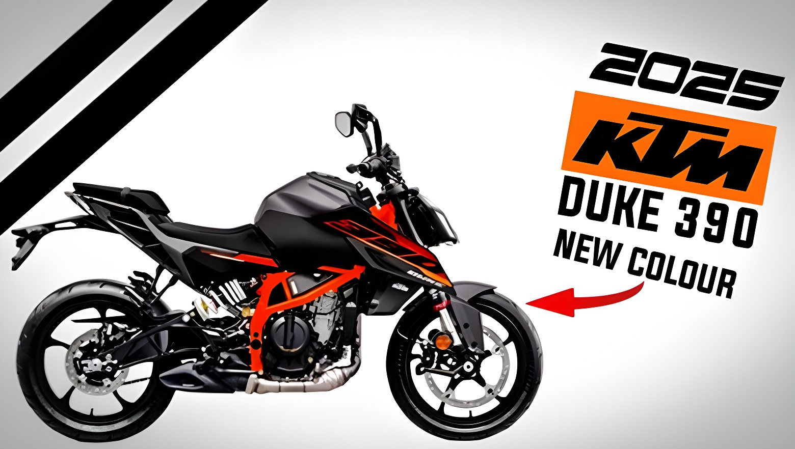 2025 KTM Duke 390